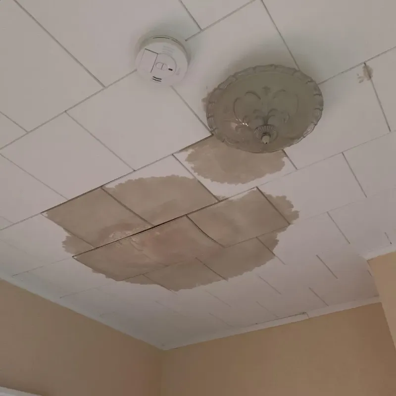Ceiling Water Damage Repair in Port Allegany, PA
